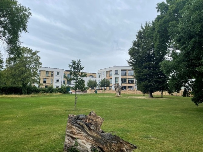 Epsom development